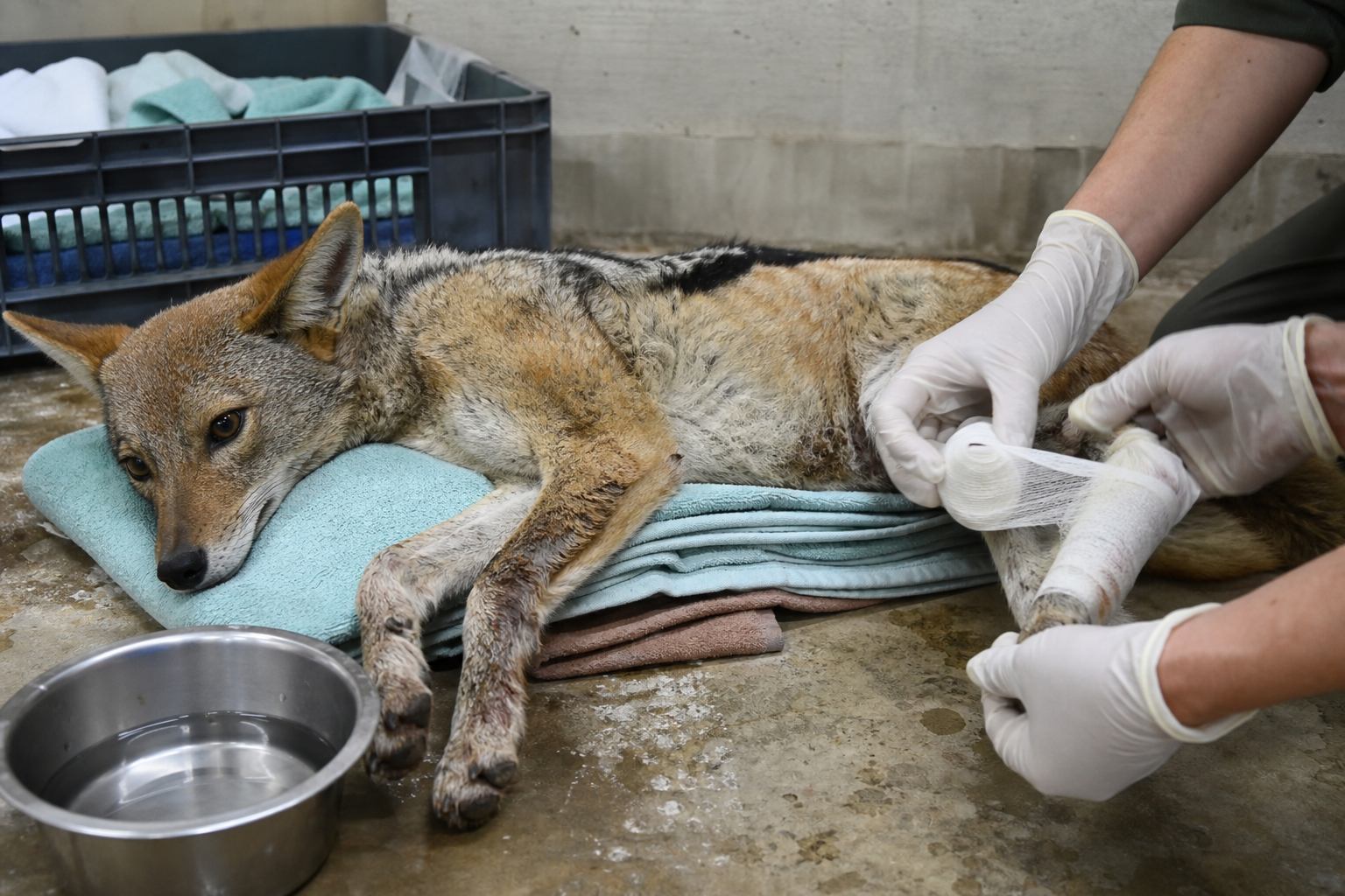 Hands-on recovery care